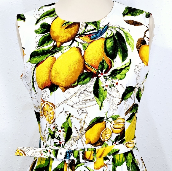 Samantha Sung Lemon Print A-Line Sleeveless Midi Dress Size 8 - Picture 5 of 16